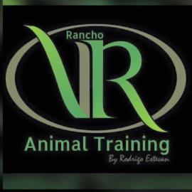 Rancho VR - Handlers