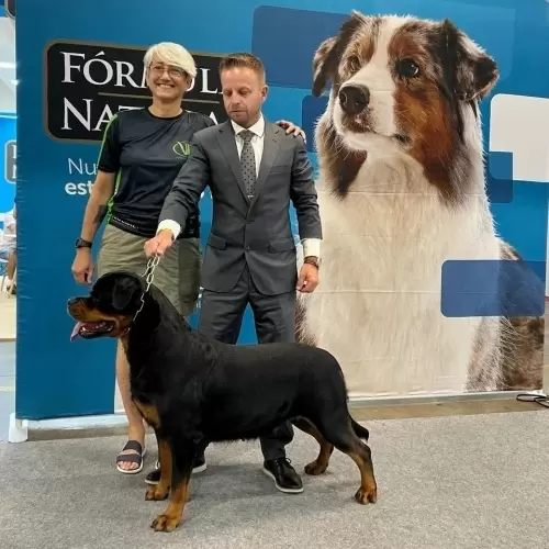 Von Star nas Exposições